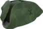 Painted Tippler's Tricorne 424F3B.png