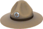 Painted Sergeant's Drill Hat 7C6C57.png