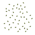 Frontline birch groundleaves 4 scatter.png