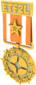 Unused Painted Tournament Medal - ETF2L 6v6 CF7336 Season 18-30 Group Winner.png