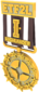 Unused Painted Tournament Medal - ETF2L Highlander 483838 Season 6-16 Premiership Gold Medal.png