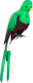 Painted Quizzical Quetzal 3B1F23.png