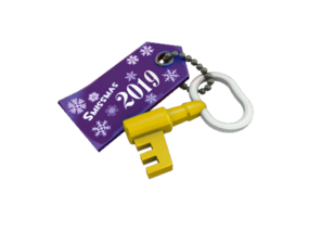 Item icon Winter 2019 Cosmetic Key.png
