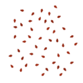 Frontline birch groundleaves 3 scatter.png