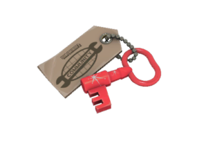 Item icon Summer 2021 Cosmetic Key.png