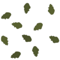 Frontline birch groundleaves 0 small.png