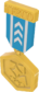 Painted Tournament Medal - TF2Connexion 256D8D.png