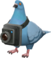 Painted Bird's Eye Viewer 5885A2.png