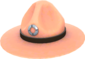 Painted Sergeant's Drill Hat E9967A.png